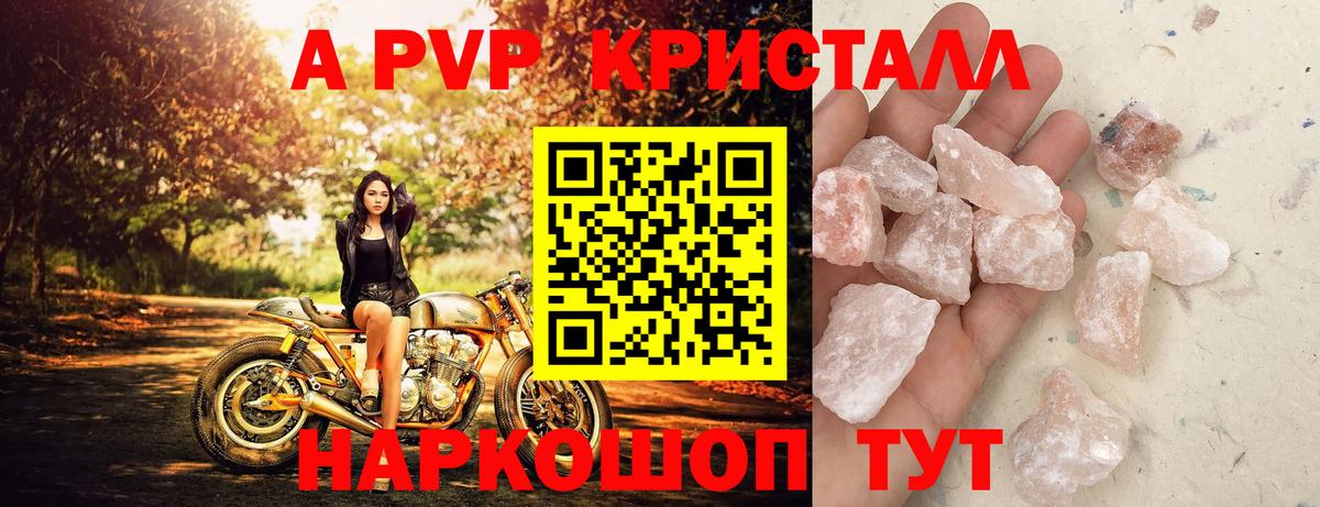 Альфа ПВП СК КРИС Кимры