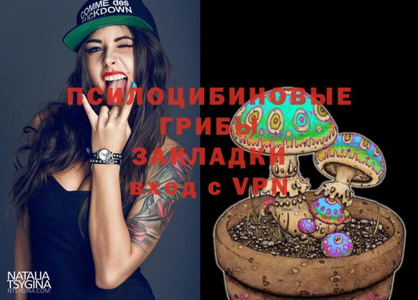 тгк Козельск