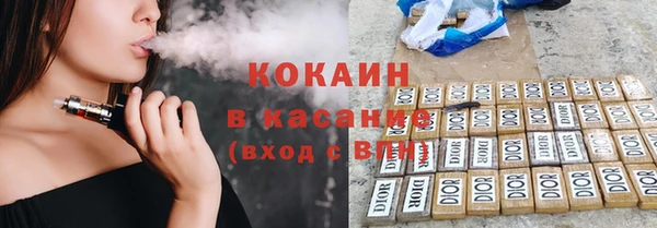 гидра Костерёво