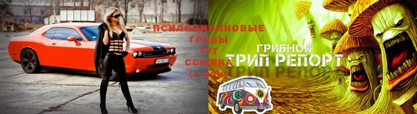 скорость Коряжма