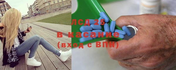 гидра Костерёво