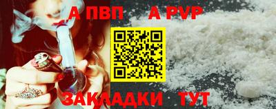 индика Бийск