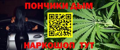 индика Бийск