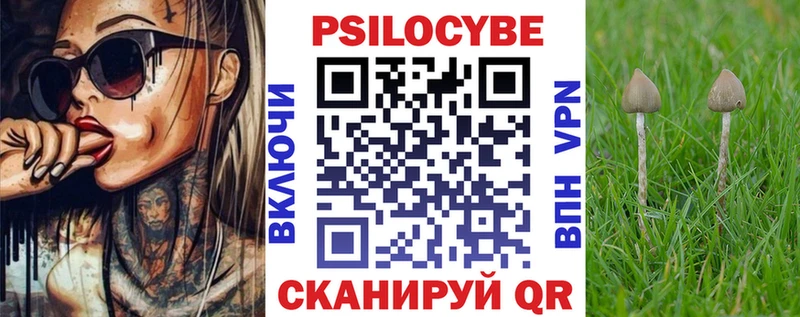 Псилоцибиновые грибы Psilocybe  KRAKEN   Кимры 