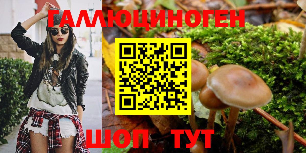 Галлюциногенные грибы GOLDEN TEACHER Кимры