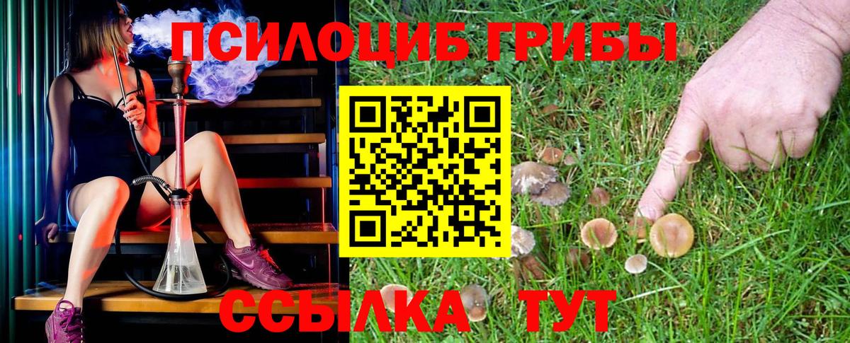 продажа наркотиков  Псилоцибиновые грибы MAGIC MUSHROOMS  Вход с VPN  Кимры 